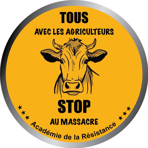 Autocollant Stop au massacre