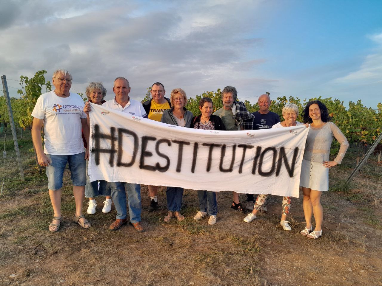 Action Destitution