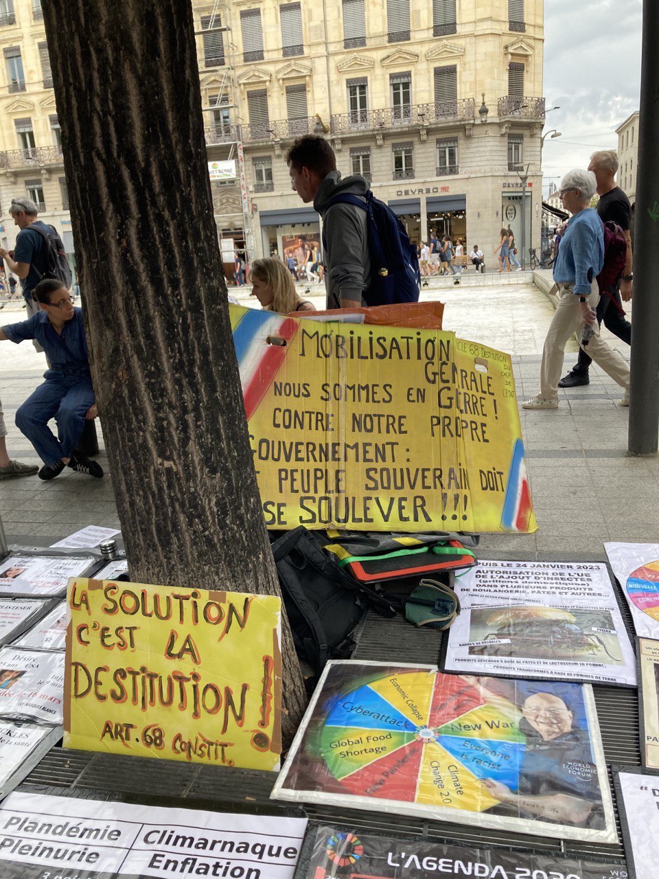 Action Destitution
